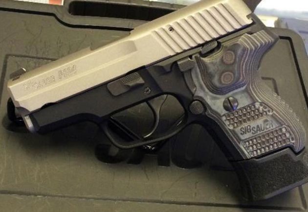 Sig Sauer P224