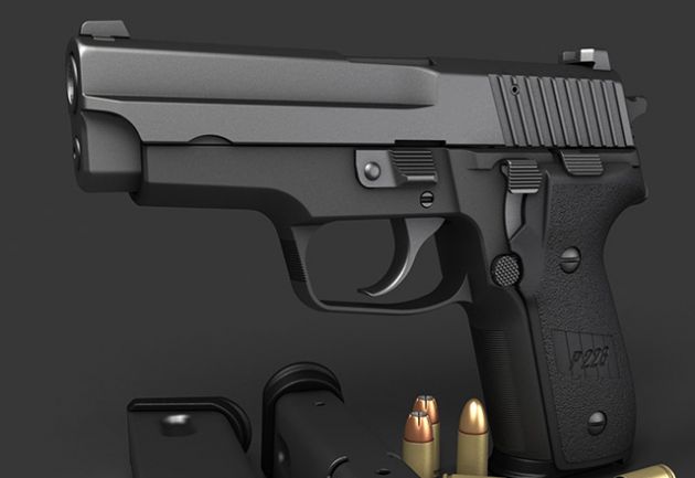 Sig Sauer P228